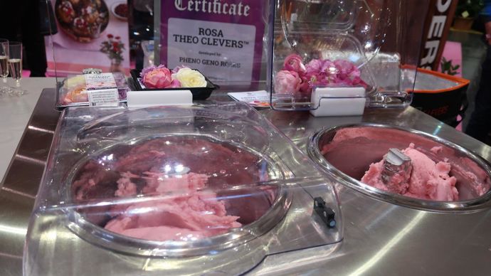 Des glaces à la rose : leurs saveurs évoquent vraiment la framboise, le citron frais, la citronnelle, les fruits, la fraise… et bientôt l’abricot, la poire, l’eau de rose… ©Odile Maillard